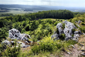 14.06.2016 Góra Miedzianka. Rezerwat przyrody. Rezerwat geologiczny. / Jarosław Kubalski / Radio Kielce