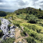 14.06.2016 Góra Miedzianka. Rezerwat przyrody. Rezerwat geologiczny. / Jarosław Kubalski / Radio Kielce