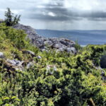 14.06.2016 Góra Miedzianka. Rezerwat przyrody. Rezerwat geologiczny. / Jarosław Kubalski / Radio Kielce