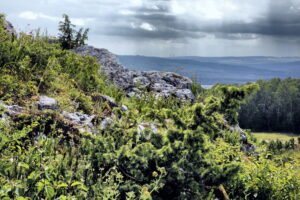 14.06.2016 Góra Miedzianka. Rezerwat przyrody. Rezerwat geologiczny. / Jarosław Kubalski / Radio Kielce