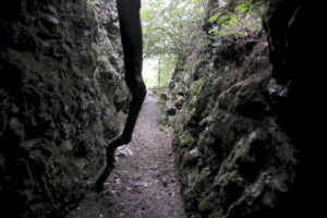 14.06.2016 Góra Miedzianka. Rezerwat przyrody. Rezerwat geologiczny. Stare sztolnie. / Jarosław Kubalski / Radio Kielce