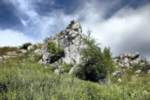 14.06.2016 Góra Miedzianka. Rezerwat przyrody. Rezerwat geologiczny. / Jarosław Kubalski / Radio Kielce