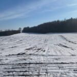 Józefów / Dionizy Krawczyński / Radio Kielce