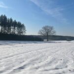 Józefów / Dionizy Krawczyński / Radio Kielce