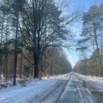 Józefów / Dionizy Krawczyński / Radio Kielce