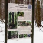 21.02..2021. Marcule. Szlaki Nadleśnictwa Marcule oznaczone kodami QR / Nadleśnictwo Marcule / Facebook