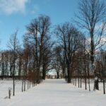 31.01.2021. Lasocin. Zespół pałacowy / Robert Felczak / Radio Kielce