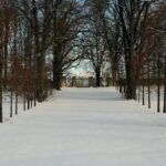 31.01.2021. Lasocin. Zespół pałacowy / Robert Felczak / Radio Kielce