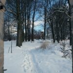 31.01.2021. Lasocin. Zespół pałacowy / Robert Felczak / Radio Kielce