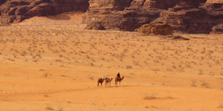 Pustynia Wadi Rum / Monika Bajka