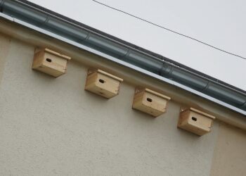 23.05.2020. Kielce. Osiedle Bocianek. Budki lęgowe dla jerzyków / Wiktor Taszłow / Radio Kielce