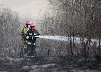 26.04.2020. Masłów. Pożar traw / Wiktor Taszłow / Radio Kielce