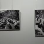 28.02.2021. Ostrowiec Świętokrzyski. Wystawa fotografii Rafała Nowaka „W Bieszczadach” / Emilia Sitarska / Radio Kielce