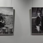 28.02.2021. Ostrowiec Świętokrzyski. Wystawa fotografii Rafała Nowaka „W Bieszczadach” / Emilia Sitarska / Radio Kielce