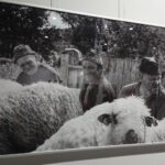 28.02.2021. Ostrowiec Świętokrzyski. Wystawa fotografii Rafała Nowaka „W Bieszczadach” / Emilia Sitarska / Radio Kielce