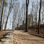 25.02.2021. Chęciny. Zamek Królewski / Wiktor Taszłow / Radio Kielce