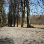 25.02.2021. Chęciny. Zamek Królewski / Wiktor Taszłow / Radio Kielce