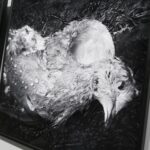 26.02.2021. Kielce. Projekt Jolanty Rycerskiej "Bajki Niczyje" w Galerii u Strasza / Wiktor Taszłow / Radio Kielce