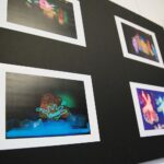 26.02.2021. Kielce. Wystawa "Jak rozweselić pechowego nosorożca" w Muzeum Dialogu Kultur / Wiktor Taszłow / Radio Kielce