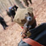 27.02.2021. Zgórsko. Złożenie wieńców i zniczy w miejscu ekshumacji Żołnierzy Wyklętych / Wiktor Taszłow / Radio Kielce