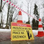 02.02.2021. Kielce. Wycinka drzew w Parku Miejskim / Wiktor Taszłow / Radio Kielce