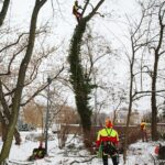 02.02.2021. Kielce. Wycinka drzew w Parku Miejskim / Wiktor Taszłow / Radio Kielce
