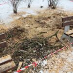 02.02.2021. Kielce. Wycinka drzew w Parku Miejskim / Wiktor Taszłow / Radio Kielce