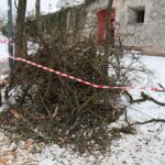 02.02.2021. Kielce. Wycinka drzew w Parku Miejskim / Wiktor Taszłow / Radio Kielce