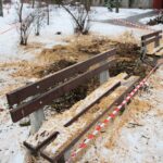 02.02.2021. Kielce. Wycinka drzew w Parku Miejskim / Wiktor Taszłow / Radio Kielce