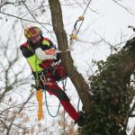 02.02.2021. Kielce. Wycinka drzew w Parku Miejskim / Wiktor Taszłow / Radio Kielce