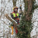 02.02.2021. Kielce. Wycinka drzew w Parku Miejskim / Wiktor Taszłow / Radio Kielce