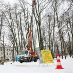 02.02.2021. Kielce. Wycinka drzew w Parku Miejskim / Wiktor Taszłow / Radio Kielce