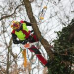 02.02.2021. Kielce. Wycinka drzew w Parku Miejskim / Wiktor Taszłow / Radio Kielce