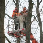 02.02.2021. Kielce. Wycinka drzew w Parku Miejskim / Wiktor Taszłow / Radio Kielce