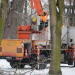 02.02.2021. Kielce. Wycinka drzew w Parku Miejskim / Wiktor Taszłow / Radio Kielce