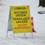 02.02.2021. Kielce. Wycinka drzew w Parku Miejskim / Wiktor Taszłow / Radio Kielce