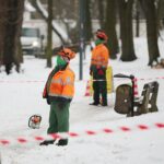 02.02.2021. Kielce. Wycinka drzew w Parku Miejskim / Wiktor Taszłow / Radio Kielce