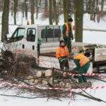 02.02.2021. Kielce. Wycinka drzew w Parku Miejskim / Wiktor Taszłow / Radio Kielce