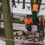 02.02.2021. Kielce. Wycinka drzew w Parku Miejskim / Wiktor Taszłow / Radio Kielce