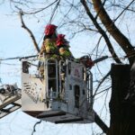 05.02.2021. Kielce. Wycięcie drzewa w parku miejskim / Wiktor Taszłow / Radio Kielce