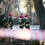 05.02.2021. Kielce. Wycięcie drzewa w parku miejskim / Wiktor Taszłow / Radio Kielce