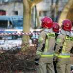 05.02.2021. Kielce. Wycięcie drzewa w parku miejskim / Wiktor Taszłow / Radio Kielce