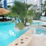 11.02.2021. Kielce. Baseny Tropikalne / Wiktor Taszłow / Radio Kielce