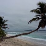 Seszele / Danuta Rasała