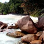 Seszele / Danuta Rasała