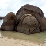 Seszele / Danuta Rasała