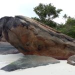 Seszele / Danuta Rasała