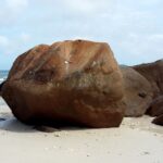 Seszele / Danuta Rasała