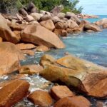 Seszele / Danuta Rasała