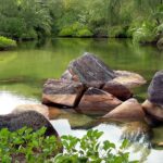 Seszele / Danuta Rasała